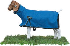 Weaver Livestock ProCool Goat Blanket, Blue, X-Large slide 1 of 2