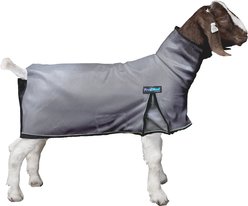 Weaver Livestock ProCool Goat Blanket, Gray, X-Large