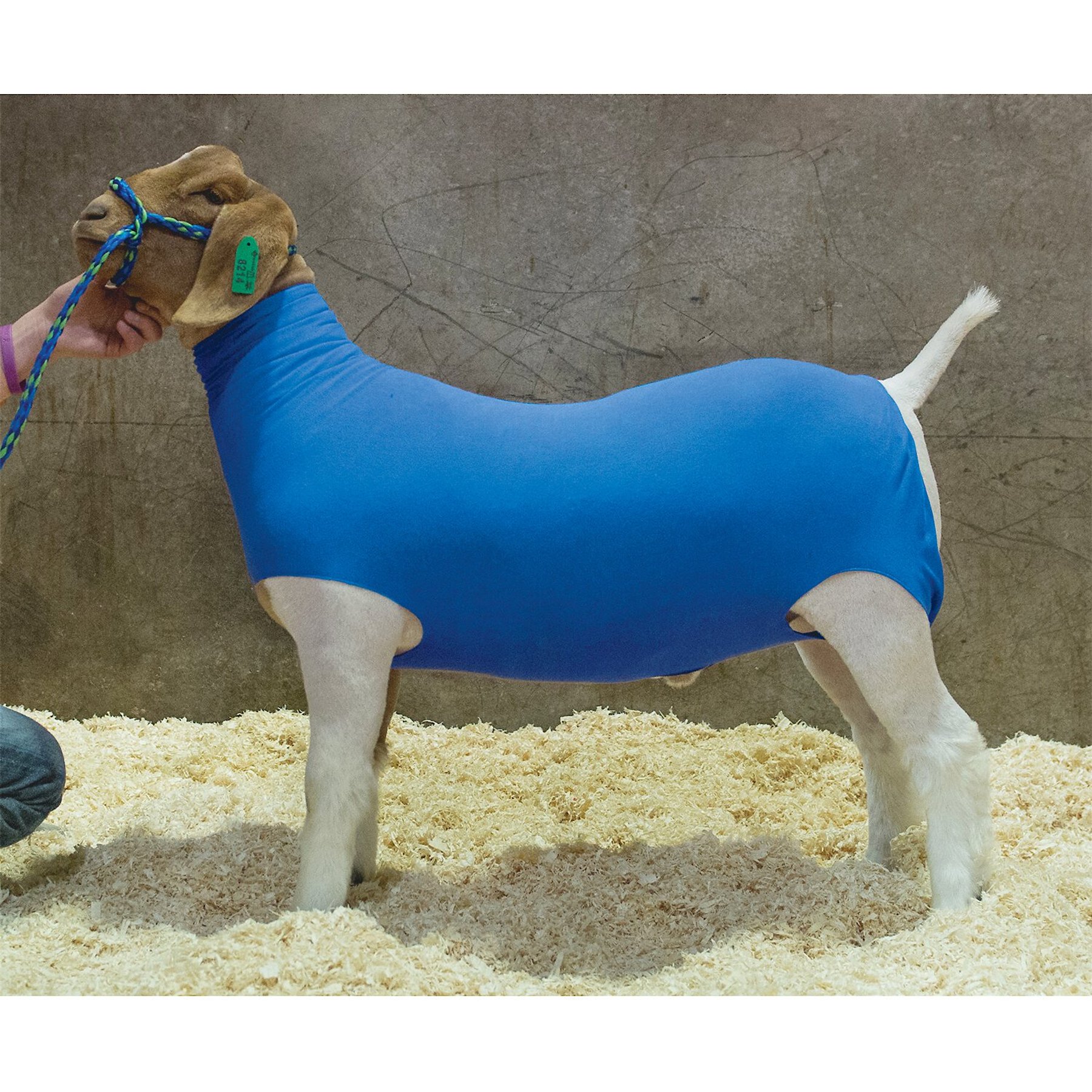 Weaver Livestock Cotton Goat Tube, Blue, X-Small