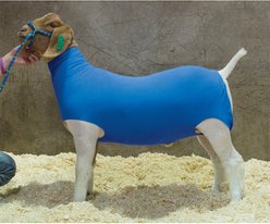 Weaver Livestock Cotton Goat Tube, Blue, Large