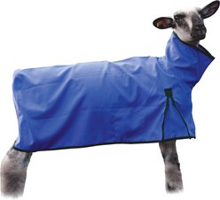 Weaver Livestock Solid Butt Sheep Blanket, Blue, Large