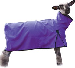 Weaver Livestock Mesh Butt Sheep Blanket, Purple, Small