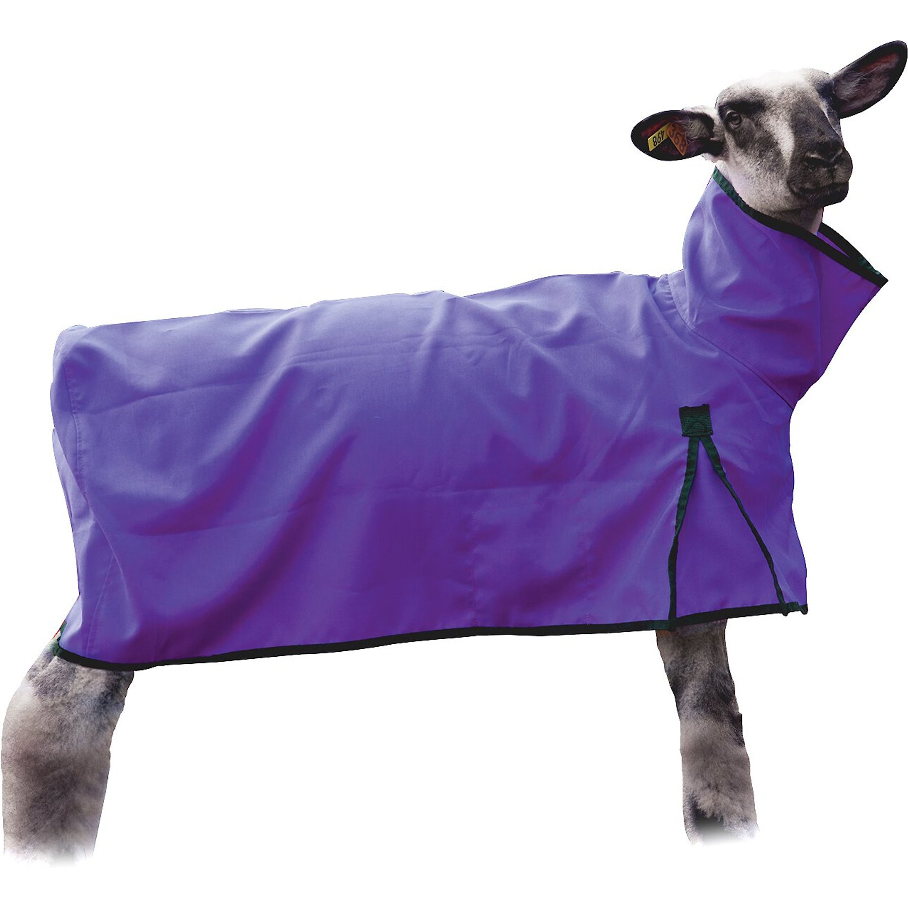Weaver Livestock Mesh Butt Sheep Blanket, Purple, Medium