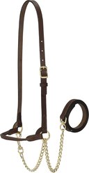 Weaver Livestock Dairy Halter, Brown, Small