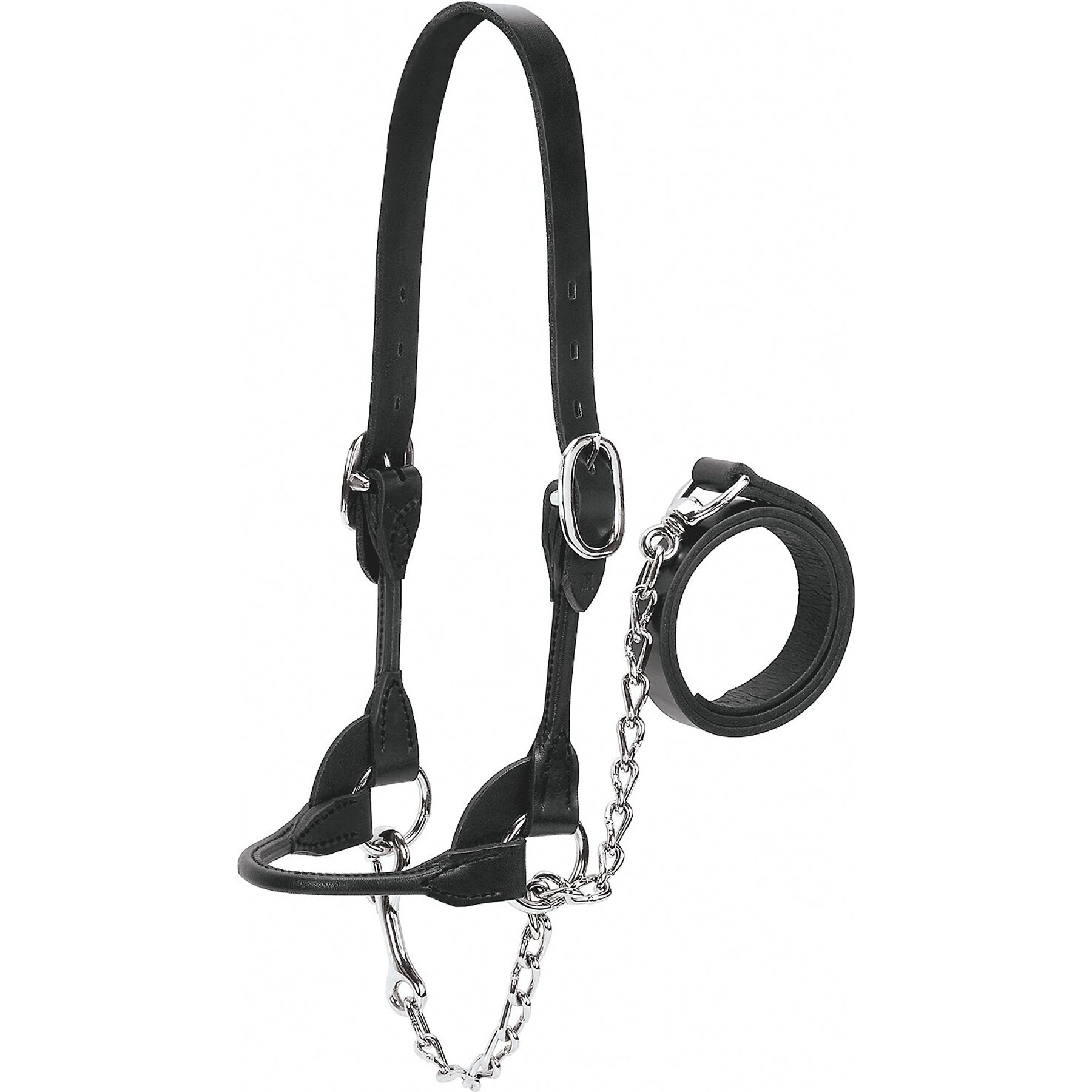 Weaver Livestock Cattle Rounded Show Halter, Black