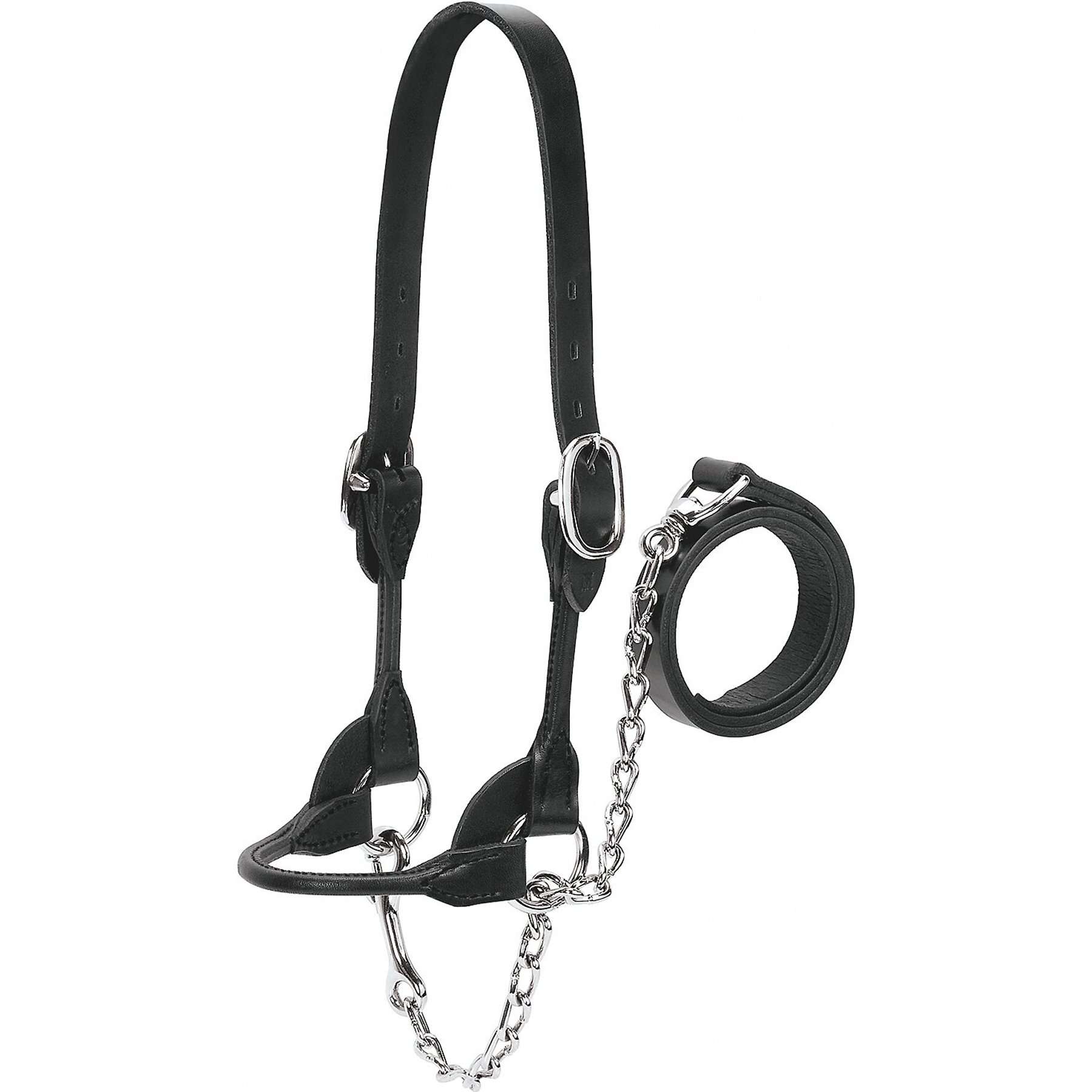 Weaver Livestock Dairy/Beef Rounded Show Halter, Black, Medium