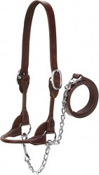 Weaver Livestock Dairy/Beef Rounded Show Halter, Brown, Large