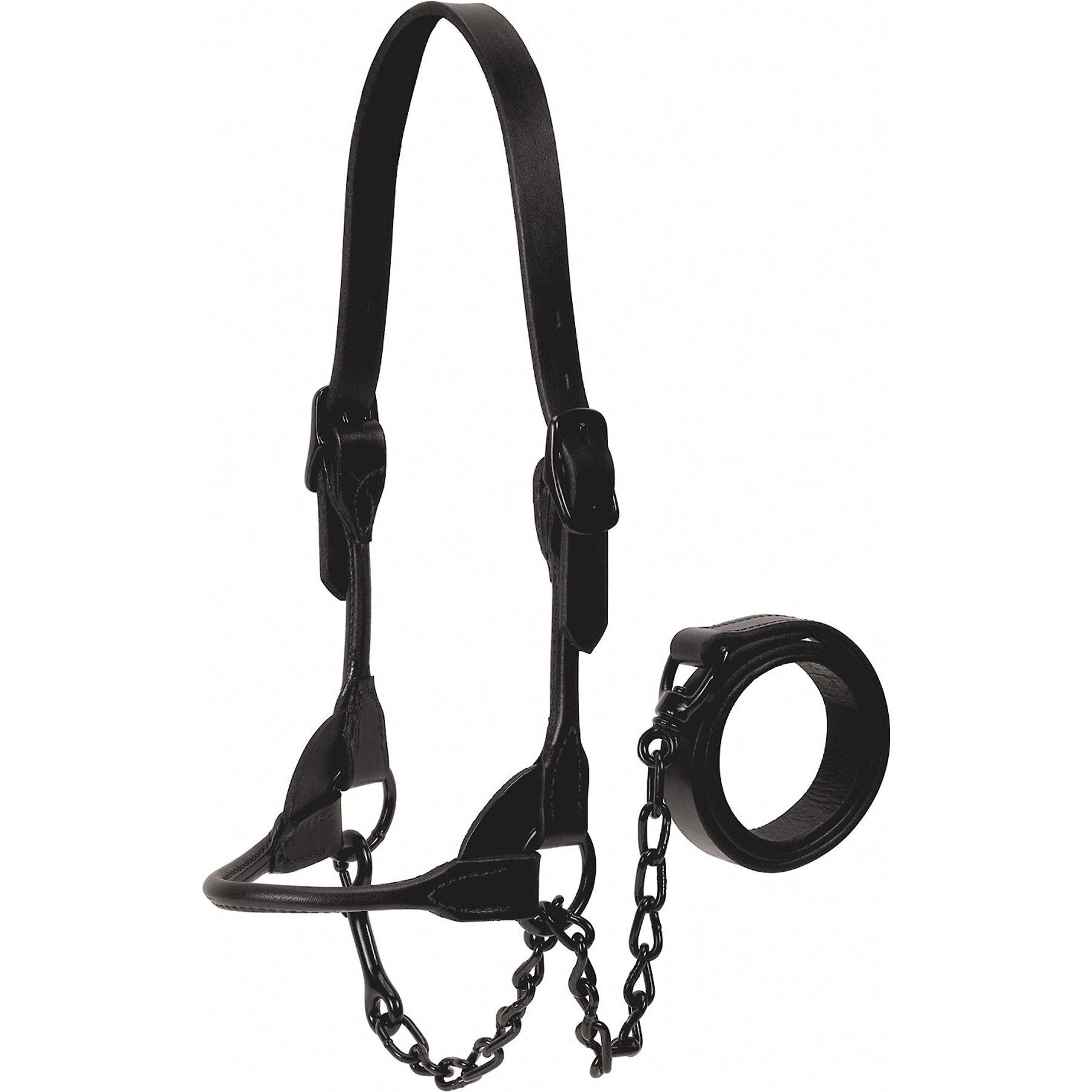 Weaver Livestock Black Magic Show Cattle Halter, Small