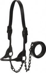 Weaver Livestock Black Magic Show Cattle Halter, Medium