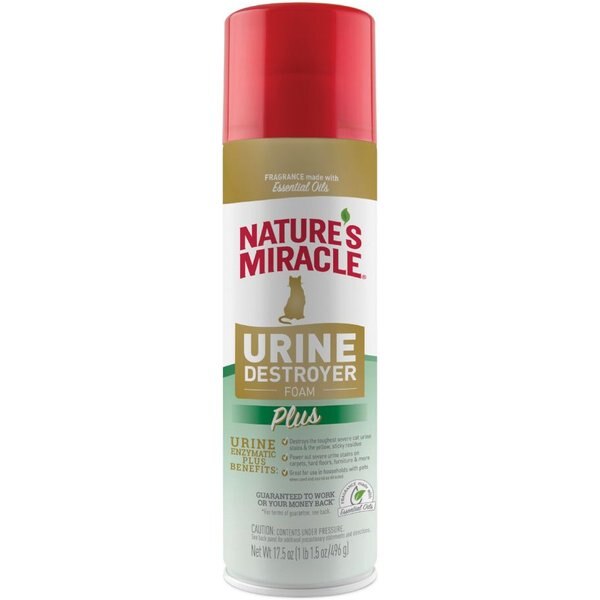 NATURE'S MIRACLE Cat Urine Destroyer Plus Enzymatic Stain Remover Foam
