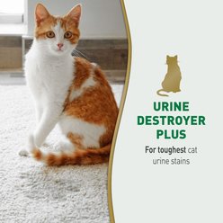 Nature's Miracle Cat Urine Destroyer Plus Enzymatic Stain Remover Foam Aerosol Spray, 17.5-oz bottle slide 2 of 8