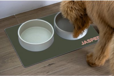 904 Custom Personalized Solid Dog & Cat Placemat