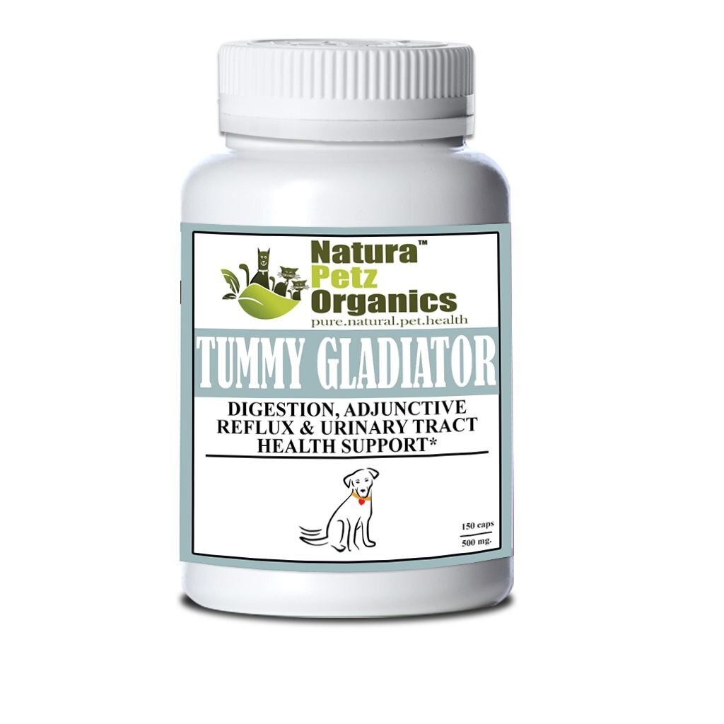 NATURA PETZ ORGANICS TUMMY GLADIATOR Digestion, Adjunctive Reflux