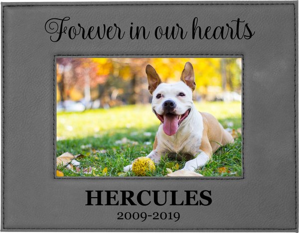 904 Custom Personalized Forever in our Hearts Leatherette Pet Memorial Picture Frame slide 1 of 5