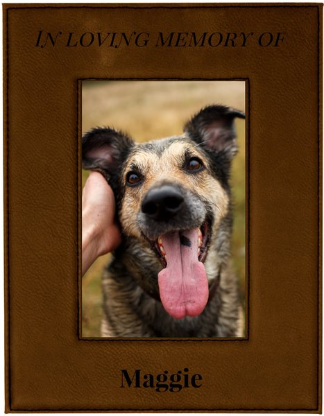 904 Custom Personalized In Loving Memory Pet Memorial Picture Frame slide 1 of 5