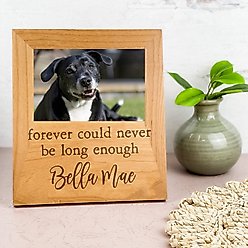904 Custom Personalized Forever Could Never Be Long Enough Pet Memorial Engraved Picture Frame