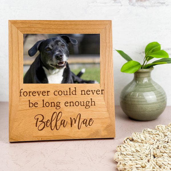 904 Custom Personalized Forever Could Never Be Long Enough Pet Memorial Engraved Picture Frame slide 1 of 1
