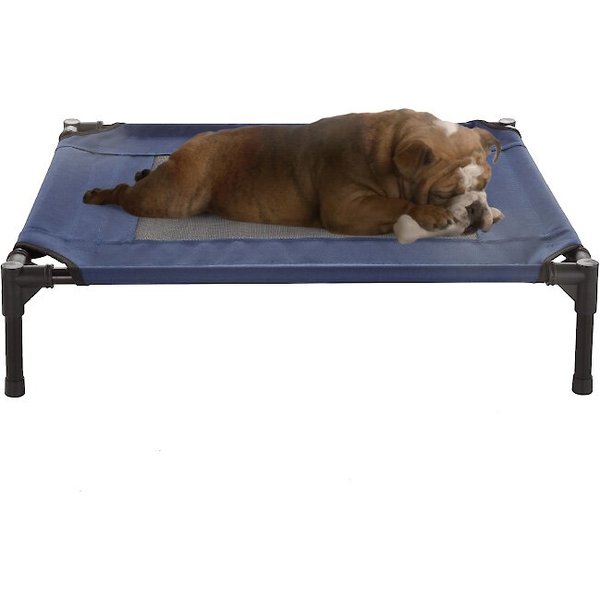 HDP Padded Napper Elevated Dog Bed, Blue, Medium