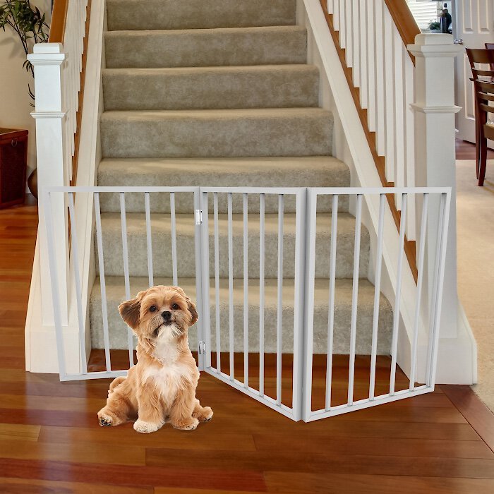 How Do I Keep My Dog From Going Upstairs Without A Gate