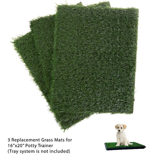 FRISCO Indoor Grass Potty, 20 x 20in