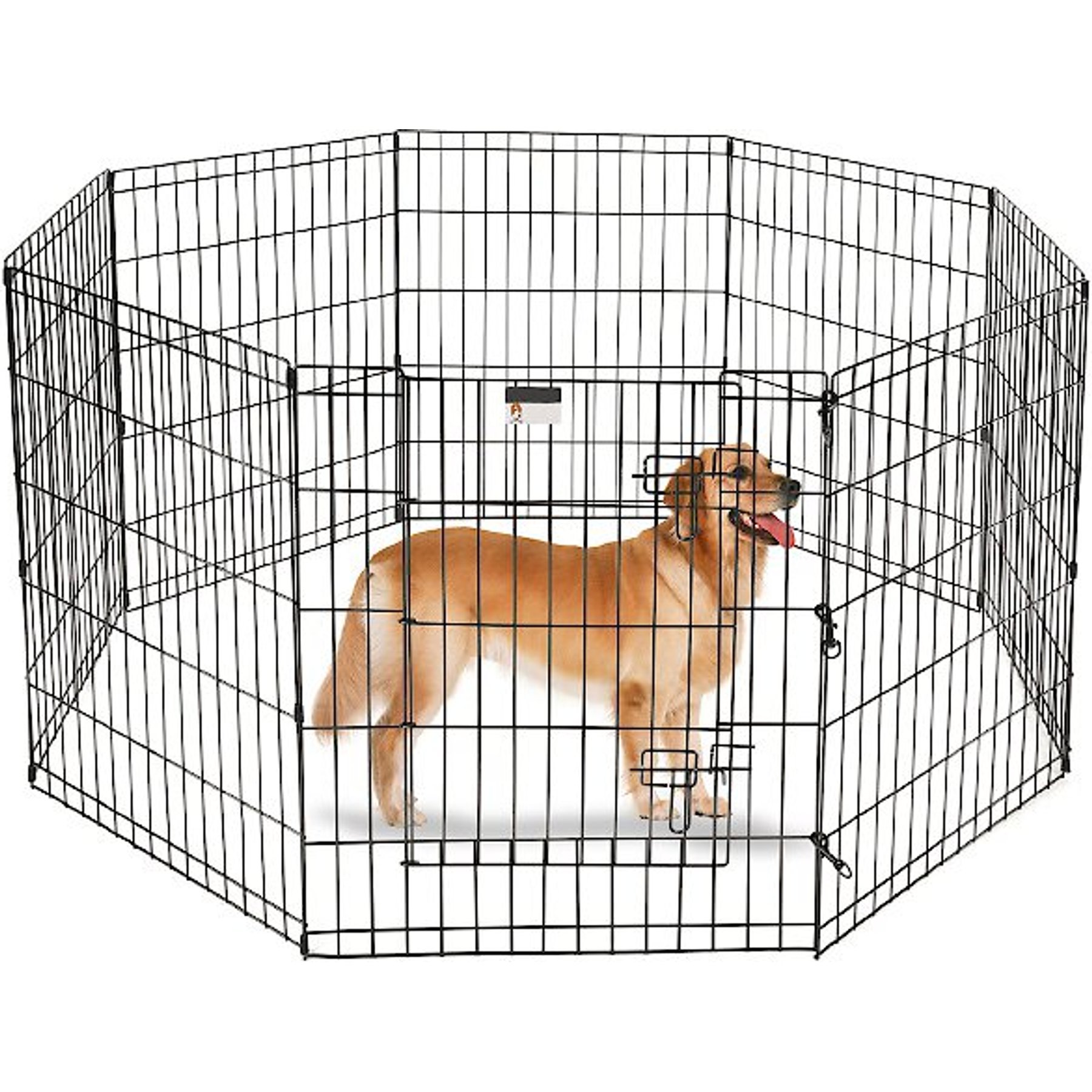 Dog hot sale playpen chewy