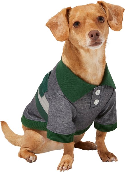 Frisco Green Striped Polo Dog & Cat Shirt, Small slide 1 of 9