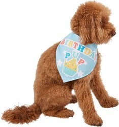 Frisco Birthday Pup Dog & Cat Bandana, Medium/Large