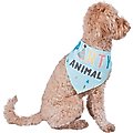 Frisco Party Animal Dog & Cat Bandana, Medium/Large