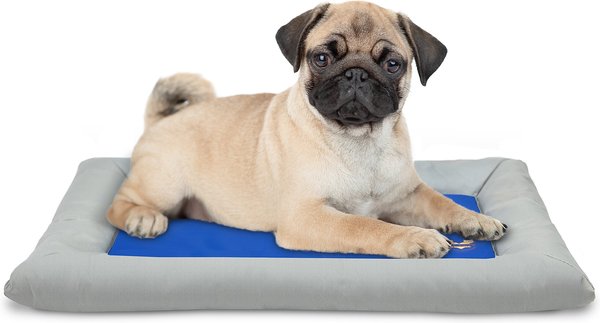 Arf Pets Self Cooling Cat & Dog Bed, Small/Medium slide 1 of 6