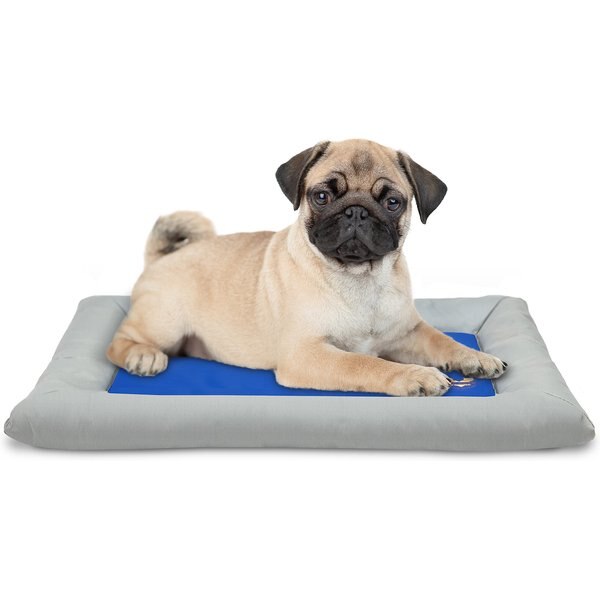 NAP CAP MLB Plush Cat \u0026 Dog Bed 