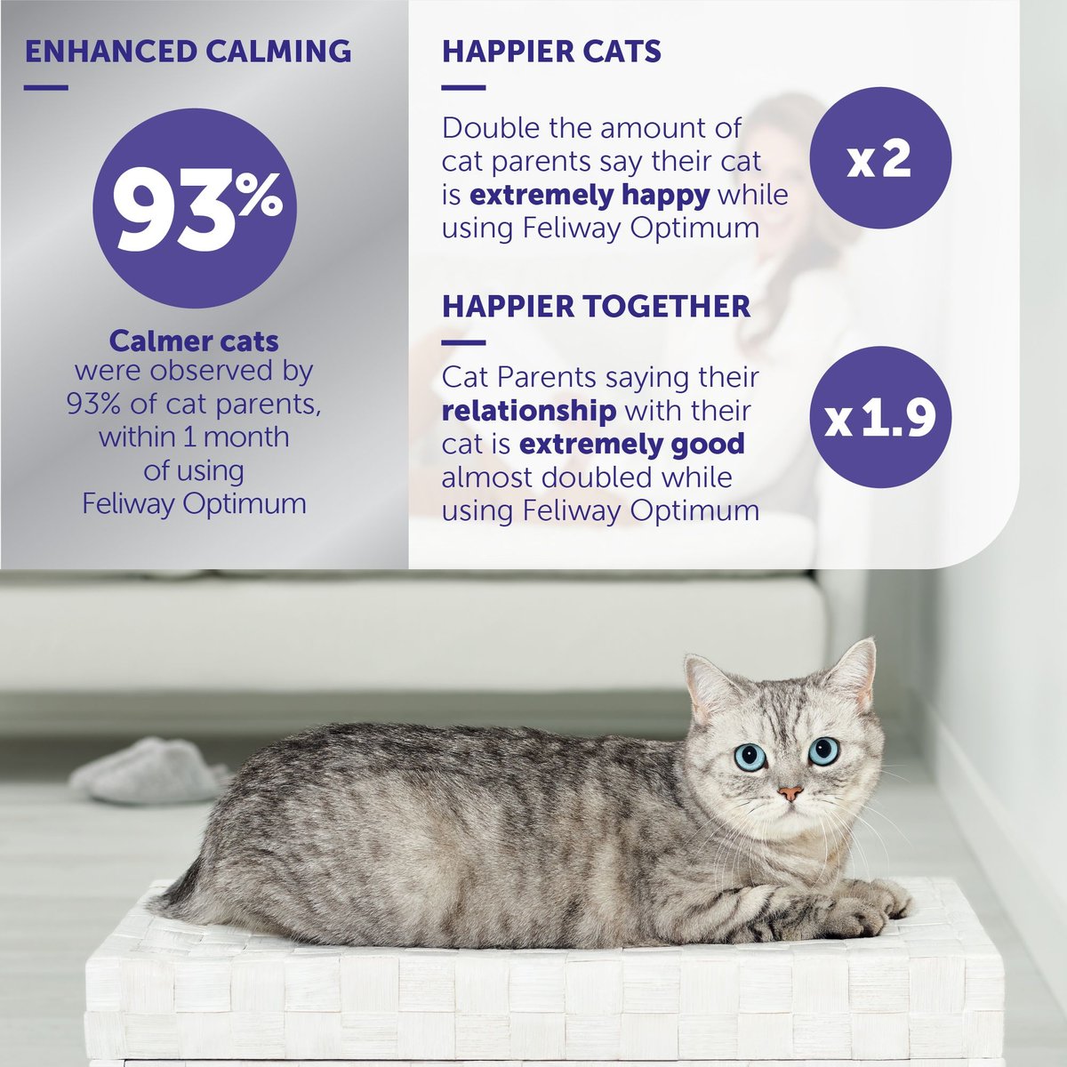 FELIWAY Optimum Enhanced Calming Pheromone 30 Day Cat Diffuser Refill 