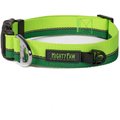 Mighty Paw Standard Reflective Colorblast Dog Collar, Green, Small
