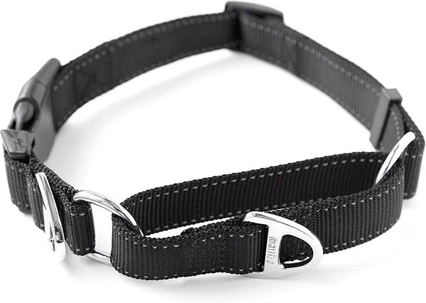 Mighty Paw Nylon Martingale Cinch Dog Collar, Black, Small slide 1 of 9