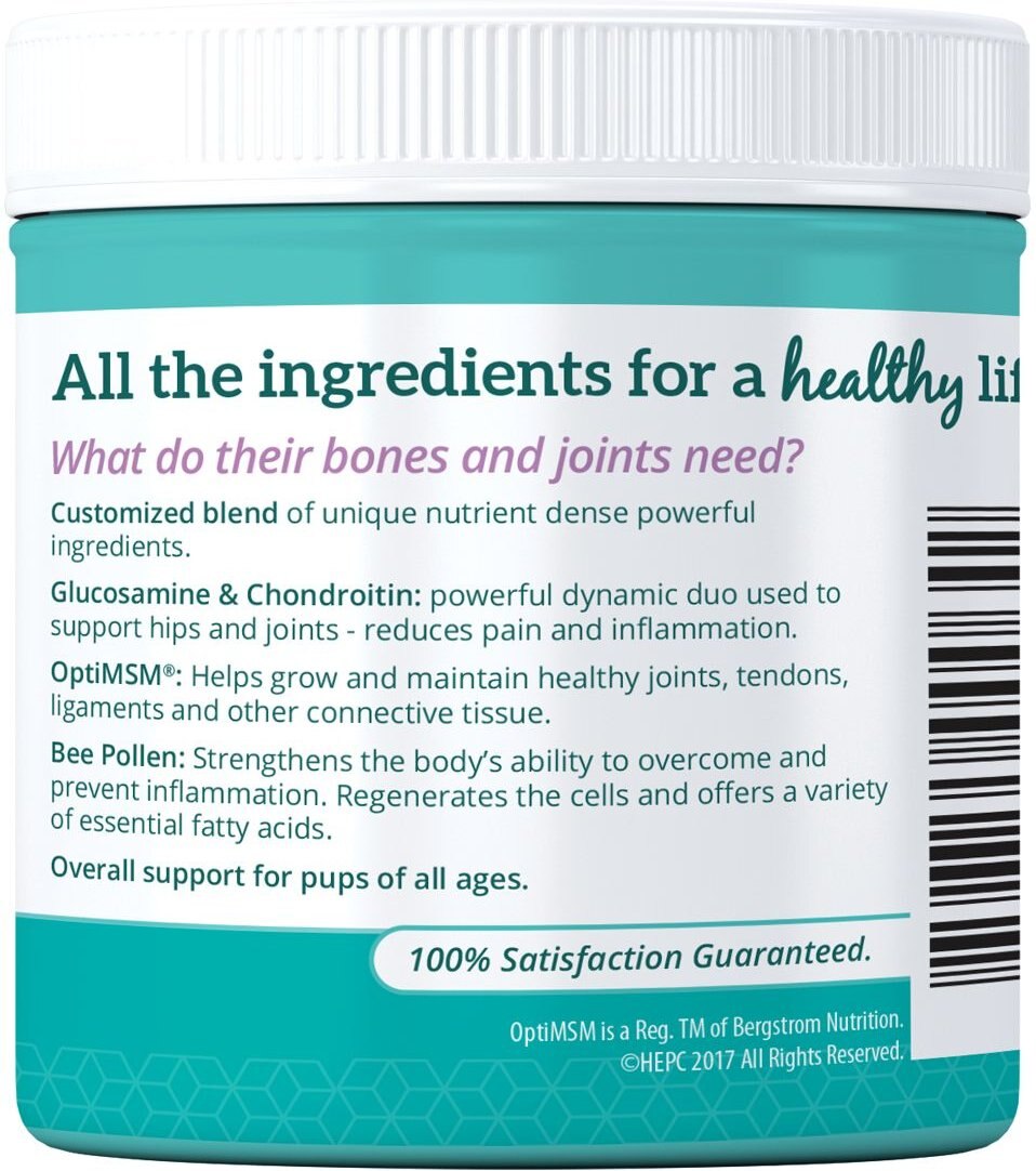 HEALTH EXTENSION Joint Mobility Powder Dog Supplement, 8oz bottle