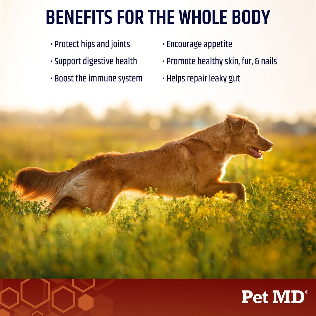 Dog md best sale joint health supplement