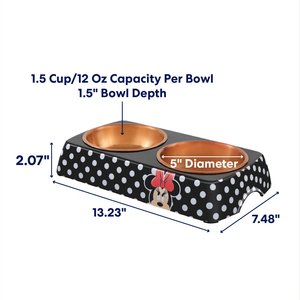 Disney Minnie Mouse Peek-A-Boo Melamine Stainless Steel Double Dog & Cat Bowl, Small: 1.5 cup