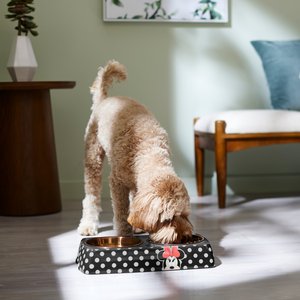 Disney Minnie Mouse Peek-A-Boo Melamine Stainless Steel Double Dog & Cat Bowl, Small: 1.5 cup