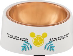Disney Mickey Mouse Lemon Slanted Elevated Stainless Steel Dog & Cat Bowl, Small: 1.5 cup