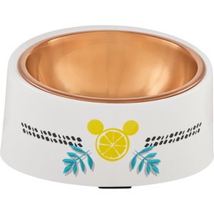 Disney Mickey Mouse Lemon Slanted Elevated Stainless Steel Dog & Cat Bowl, Small: 1.5 cup