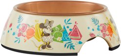 Disney Minnie Mouse Summer Bamboo Melamine Stainless Steel Dog & Cat Bowl, X-Small: 0.5 cup