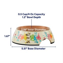 Disney Minnie Mouse Summer Bamboo Melamine Stainless Steel Dog & Cat Bowl, X-Small: 0.5 cup slide 2 of 9