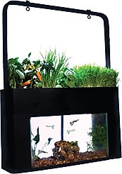 AquaSprouts Garden Self-Sustaining Desktop Aquarium Aquaponics Ecosystem, 10-gal