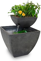 AquaSprouts Fountain Aquaponics Ecosystem Kit, Charcoal, 8-gal