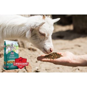 Kalmbach Feeds Granola Goat Food, 30-lb bag