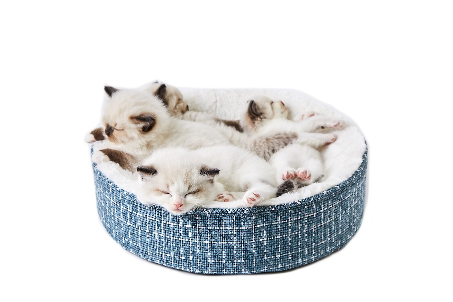 PETKIT Deep Sleep Bolster Cat Bed reviews
