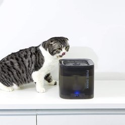 PETKIT Eversweet Solo Dog & Cat Fountain, Black slide 2 of 6