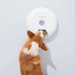 INSTACHEW 6 Automatic Dog & Cat Feeder slide 2 of 3