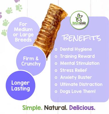 Show full view: Nature Gnaws Beef Trachea Chews 6" Dog Treats, 12 count slide 5 of 9