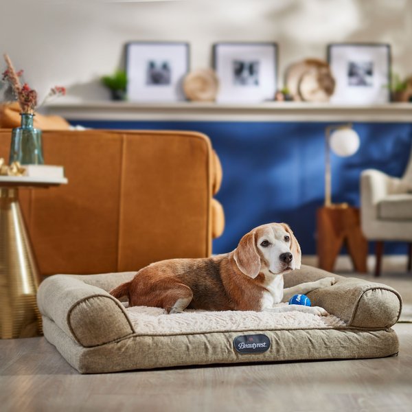 Max & Marlow Plush Mat Lounger Cat & Dog Bed