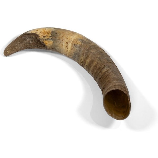 LITTLE LOYALS Premium Cattle Horn Dog Chew, Medium